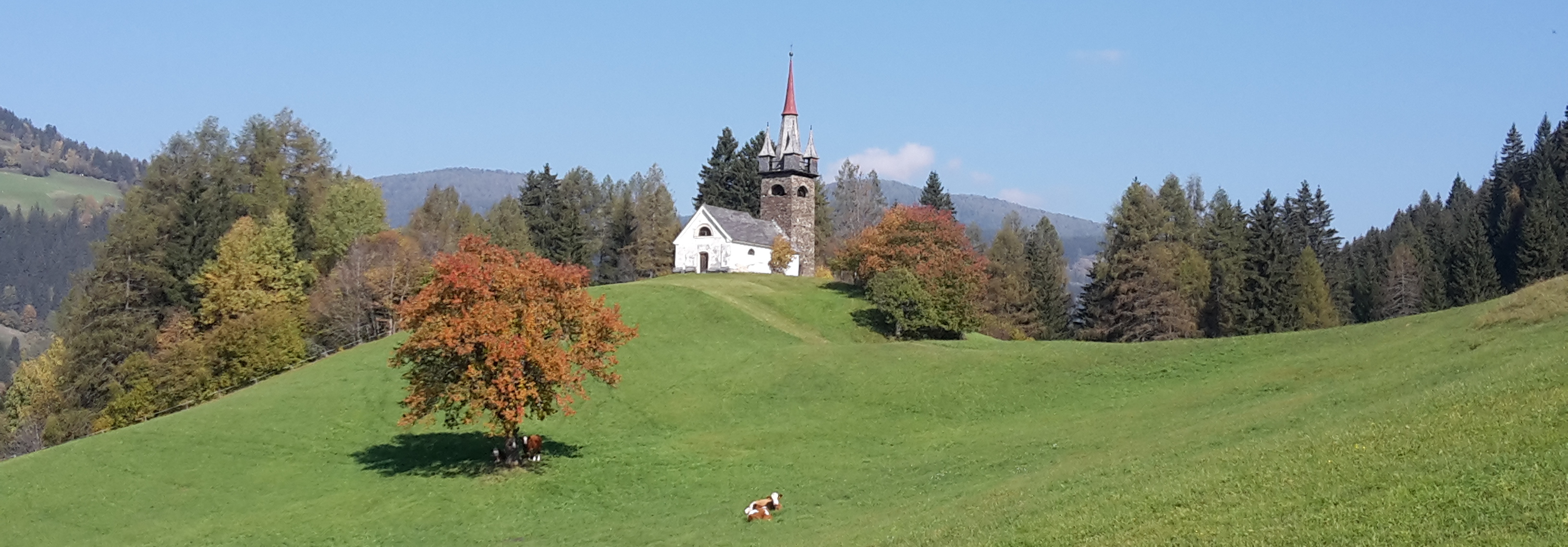 Gemeinde StadlPredlitz Home